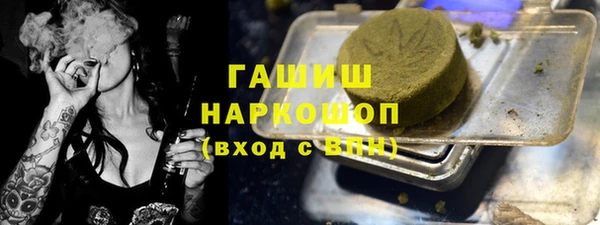 ешки Бородино