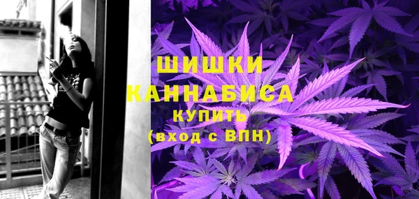 ешки Бородино