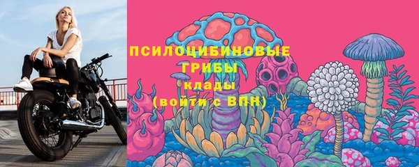 прущий лед Бронницы