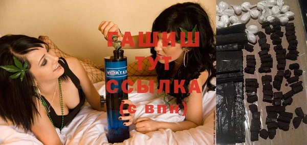 ешки Бородино