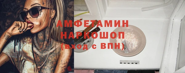ешки Бородино