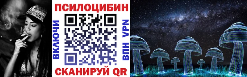 магазин  наркотиков  Новошахтинск  Псилоцибиновые грибы мухоморы 